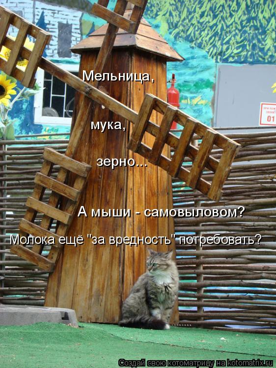 Мельница, мука, зерно... А мыши - самовыловом? Молока ещё "за вредность" потребовать?... Котоматрица: Мельница, мука, зерно... А мыши - самовыловом? Молока ещё "за вредность" потребовать?