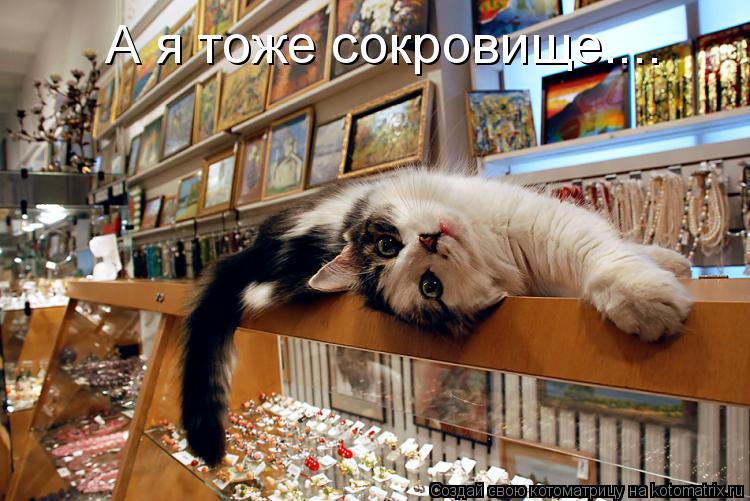 А я тоже сокровище....... Котоматрица: А я тоже сокровище....