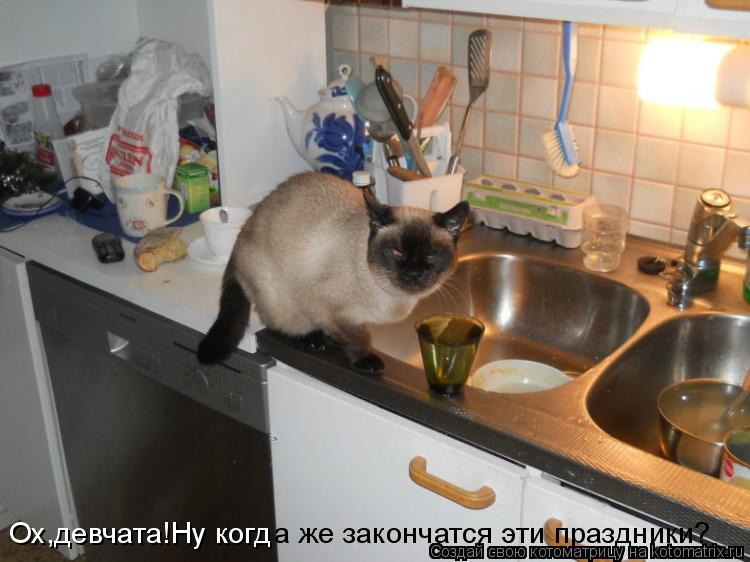 Ох,девчата!Ну когд а же закончатся эти праздники?... Котоматрица: Ох,девчата!Ну когд а же закончатся эти праздники?