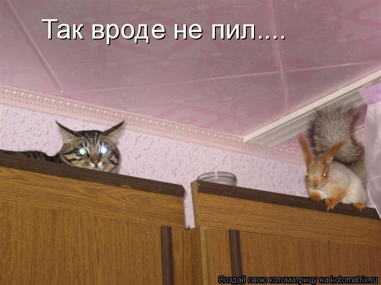 Так вроде не пил....... Котоматрица: Так вроде не пил....