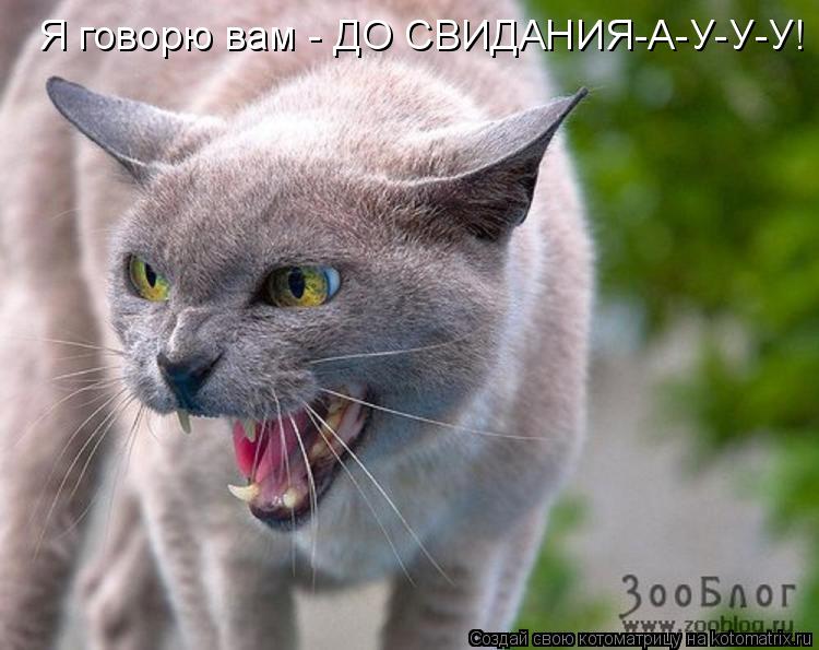 Я говорю вам - ДО СВИДАНИЯ-А-У-У-У!... Котоматрица: Я говорю вам - ДО СВИДАНИЯ-А-У-У-У!