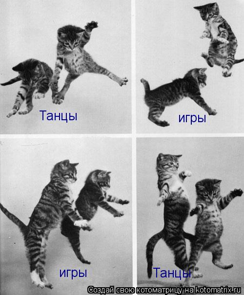 Танцы Танцы игры игры... Котоматрица: Танцы Танцы игры игры