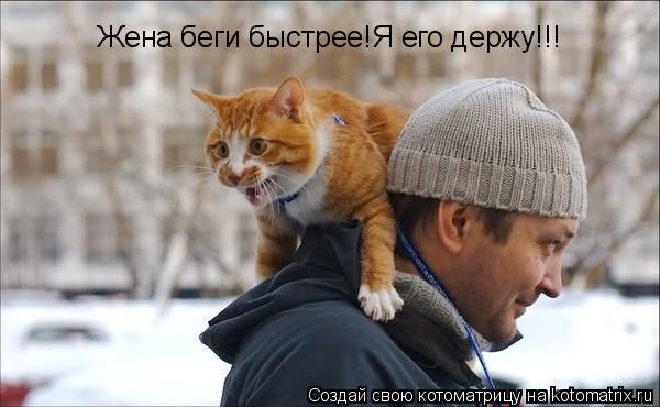 Жена беги быстрее!Я его держу!!!... Котоматрица: Жена беги быстрее!Я его держу!!!