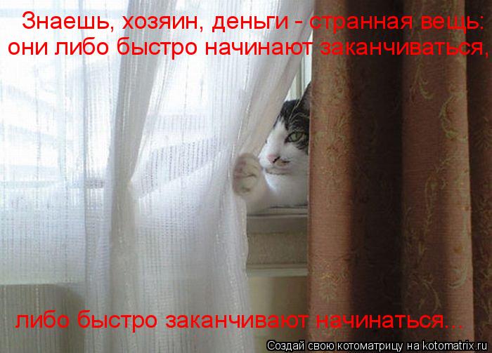 Знаешь, хозяин, деньги - странная вещь: они либо быстро начинают заканчиваться, либо быстро заканчив... Котоматрица: Знаешь, хозяин, деньги - странная вещь: они либо быстро начинают заканчиваться, либо быстро заканчивают начинаться...