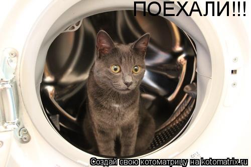 ПОЕХАЛИ!!!... Котоматрица: ПОЕХАЛИ!!!