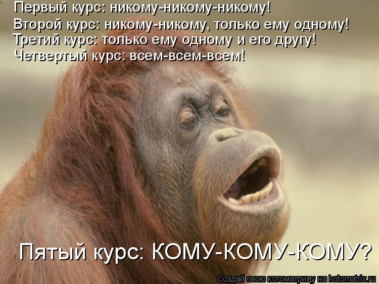 Первый курс: никому-никому-никому! Второй курс: никому-никому, только ему одному! Третий курс: только... Котоматрица: Первый курс: никому-никому-никому! Второй курс: никому-никому, только ему одному! Третий курс: только ему одному и его другу! Четвертый курс: