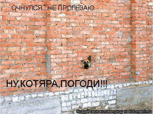 ...ОЧНУЛСЯ...НЕ ПРОЛЕЗАЮ... НУ,КОТЯРА,ПОГОДИ!!!... Котоматрица: ...ОЧНУЛСЯ...НЕ ПРОЛЕЗАЮ... НУ,КОТЯРА,ПОГОДИ!!!