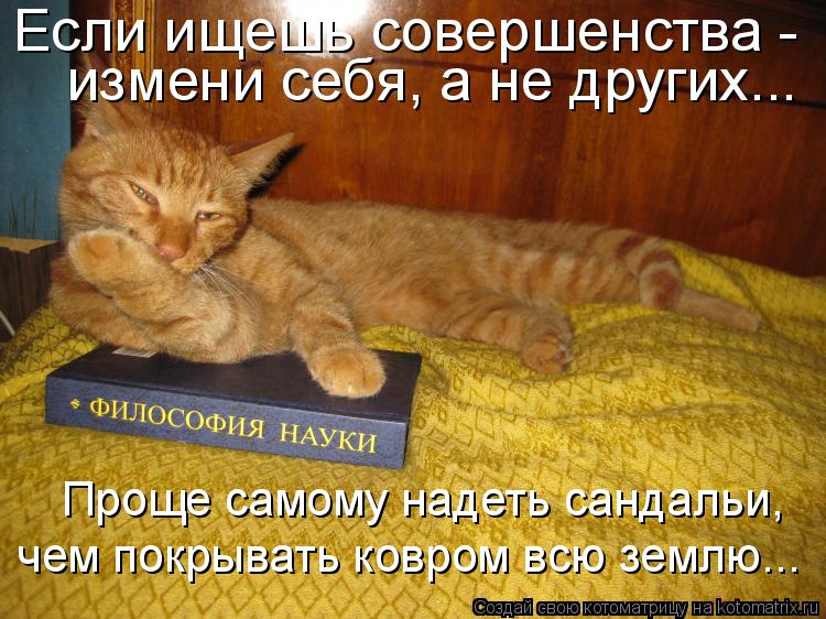 Если ищешь совершенства - измени себя, а не других... Проще самому надеть сандальи, чем покрывать к... Котоматрица: Если ищешь совершенства - измени себя, а не других... Проще самому надеть сандальи, чем покрывать ковром всю землю...