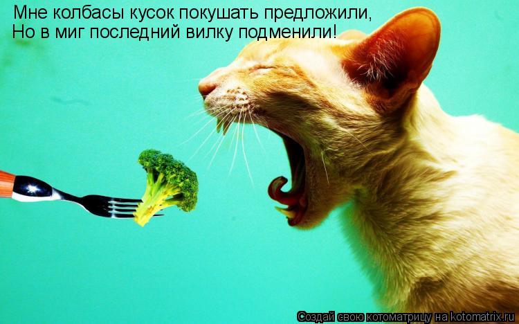 Мне колбасы кусок покушать предложили, Но в миг последний вилку подменили!... Котоматрица: Мне колбасы кусок покушать предложили, Но в миг последний вилку подменили!