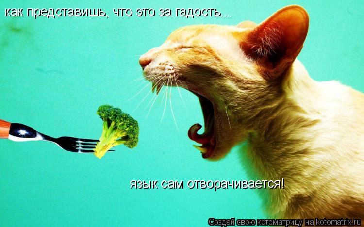 как представишь, что это за гадость... язык сам отворачивается!... Котоматрица: как представишь, что это за гадость... язык сам отворачивается!