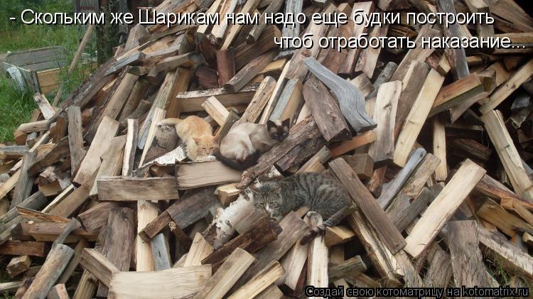 - Скольким же Шарикам нам надо еще будки построить чтоб отработать наказание...... Котоматрица: - Скольким же Шарикам нам надо еще будки построить чтоб отработать наказание...