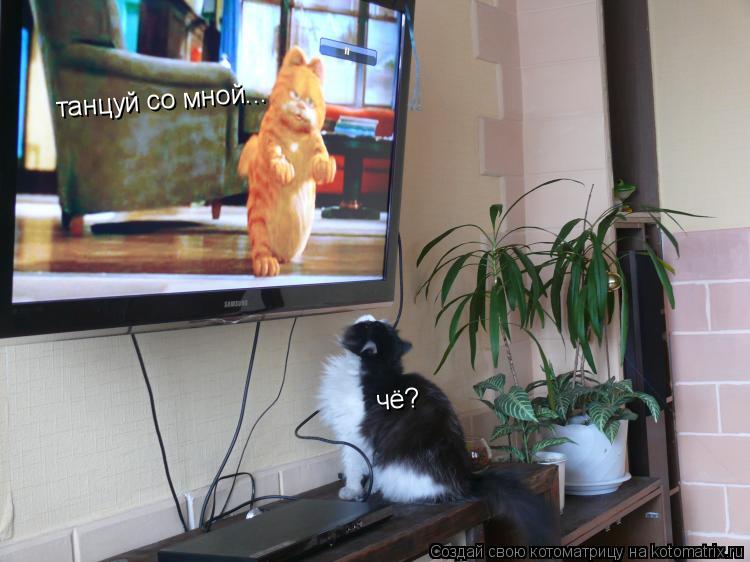 танцуй со мной... чё?... Котоматрица: танцуй со мной... чё?