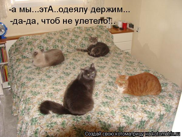 -а мы...этА..одеялу держим... -да-да, чтоб не улетело!..... Котоматрица: -а мы...этА..одеялу держим... -да-да, чтоб не улетело!..