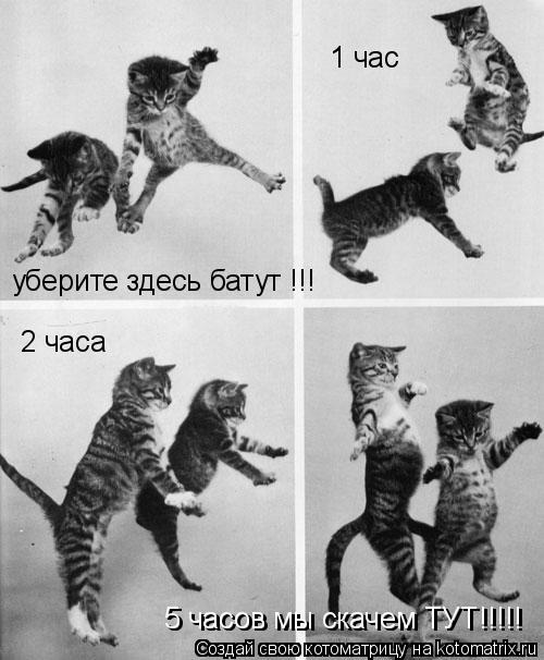 уберите здесь батут !!! 1 час 2 часа 5 часов мы скачем ТУТ!!!!! 5 часов мы скачем ТУТ!!!!!... Котоматрица: уберите здесь батут !!! 1 час 2 часа 5 часов мы скачем ТУТ!!!!! 5 часов мы скачем ТУТ!!!!!