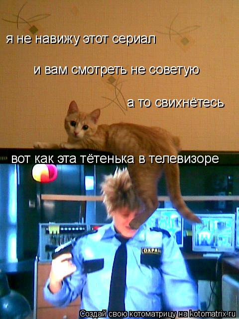 я не навижу этот сериал и вам смотреть не советую а то свихнётесь вот как эта тётенька в телевизоре... Котоматрица: я не навижу этот сериал и вам смотреть не советую а то свихнётесь вот как эта тётенька в телевизоре