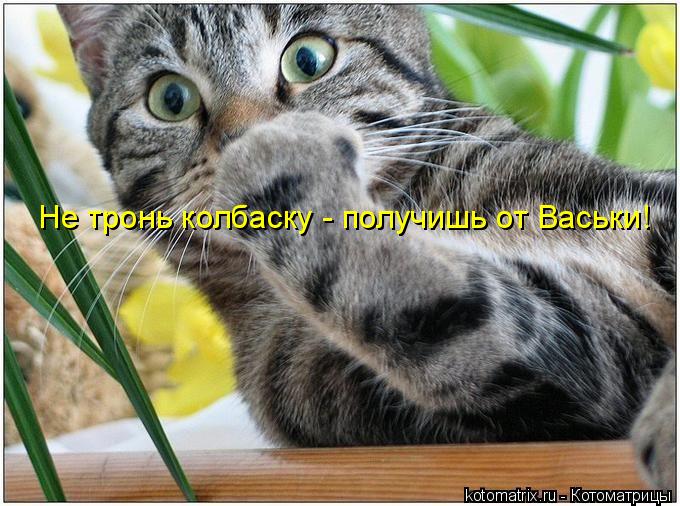 Не тронь колбаску - получишь от Васьки!... Котоматрица: Не тронь колбаску - получишь от Васьки!
