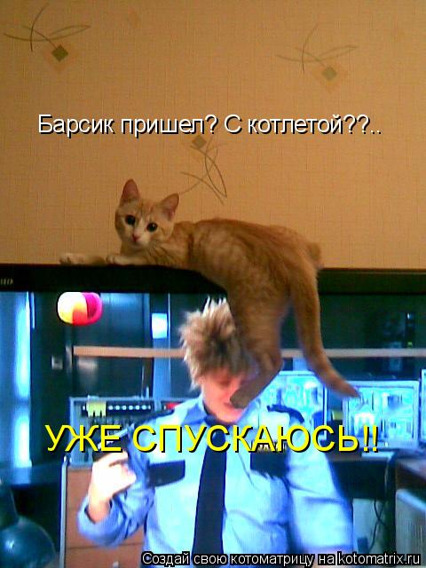 Барсик пришел? С котлетой??.. УЖЕ СПУСКАЮСЬ!!... Котоматрица: Барсик пришел? С котлетой??.. УЖЕ СПУСКАЮСЬ!!