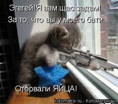 Эгегей!Я вам щас задам! За то, что вы у моего бати... Оторвали ЯЙЦА!... Котоматрица: Эгегей!Я вам щас задам! За то, что вы у моего бати... Оторвали ЯЙЦА!