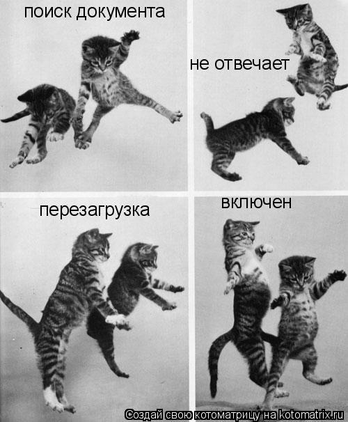не отвечает поиск документа перезагрузка включен... Котоматрица: не отвечает поиск документа перезагрузка включен