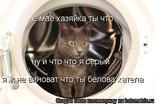 ё маё хазяйка ты что ну и что что я серый я ж не виноват что ты белова хатела... Котоматрица: ё маё хазяйка ты что ну и что что я серый я ж не виноват что ты белова хатела