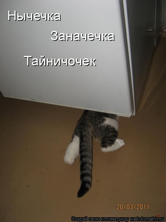Нычечка Заначечка Тайничочек... Котоматрица: Нычечка Заначечка Тайничочек