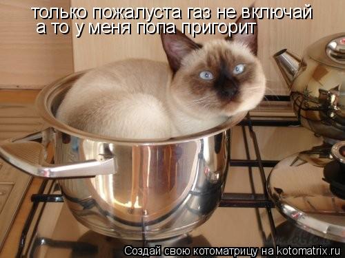 только пожалуста газ не включай а то у меня попа пригорит... Котоматрица: только пожалуста газ не включай а то у меня попа пригорит
