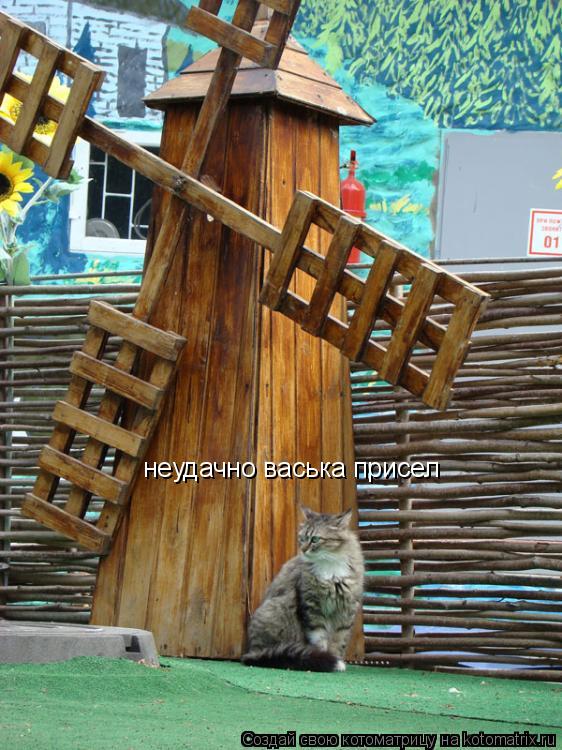 неудачно васька присел... Котоматрица: неудачно васька присел