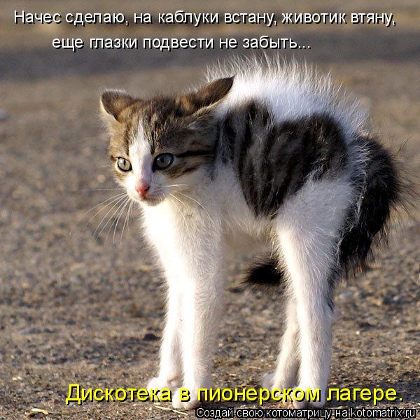 Начес сделаю, на каблуки встану, животик втяну, еще глазки подвести не забыть... Дискотека в пионерск... Котоматрица: Начес сделаю, на каблуки встану, животик втяну, еще глазки подвести не забыть... Дискотека в пионерском лагере.