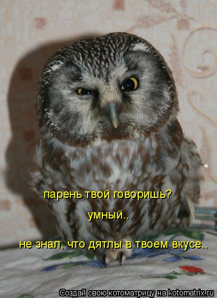 парень твой говоришь? умный.. не знал, что дятлы в твоем вкусе..... Котоматрица: парень твой говоришь? умный.. не знал, что дятлы в твоем вкусе..