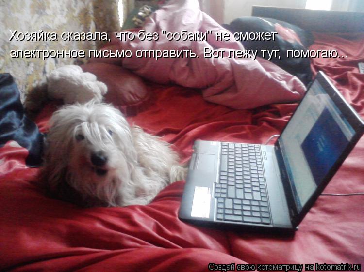 Хозяйка сказала, что без "собаки" не сможет электронное письмо отправить. Вот лежу тут, помогаю...... Котоматрица: Хозяйка сказала, что без "собаки" не сможет электронное письмо отправить. Вот лежу тут, помогаю...