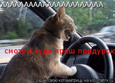 АААААААААААААААААААААА смотри куда прёш придурок... Котоматрица: АААААААААААААААААААААА смотри куда прёш придурок