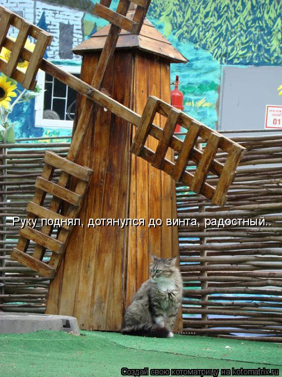 Руку поднял, дотянулся до винта, радостный..... Котоматрица: Руку поднял, дотянулся до винта, радостный..