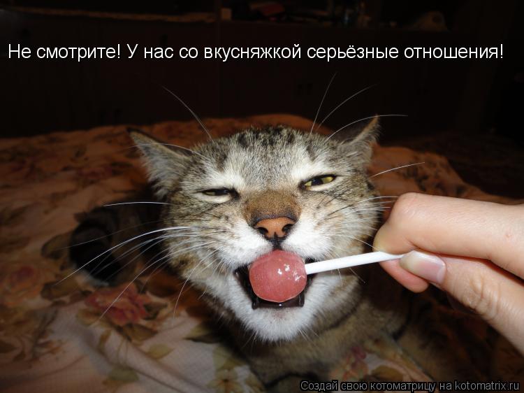 Не смотрите! У нас со вкусняжкой серьёзные отношения!... Котоматрица: Не смотрите! У нас со вкусняжкой серьёзные отношения!
