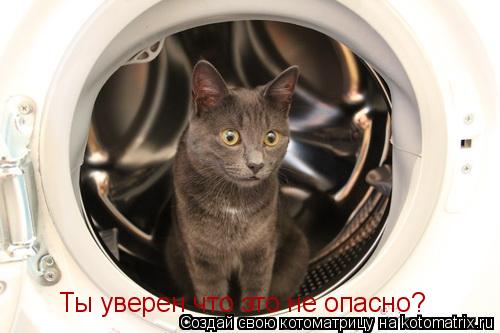 Ты уверен что это не опасно?... Котоматрица: Ты уверен что это не опасно?