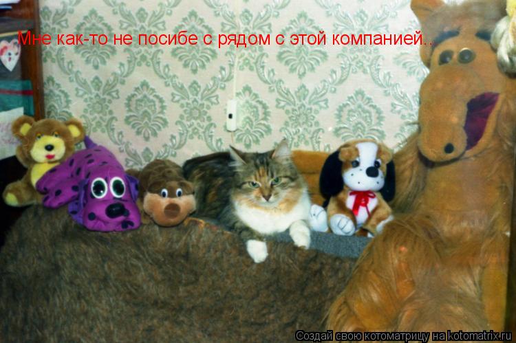 Мне как-то не посибе с рядом с этой компанией...... Котоматрица: Мне как-то не посибе с рядом с этой компанией...