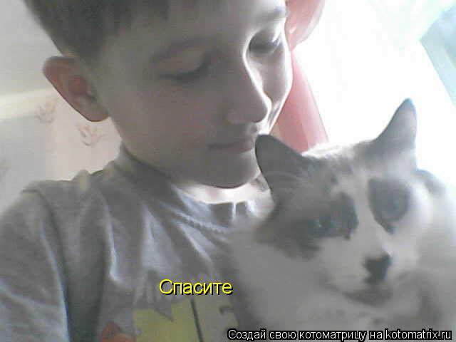 Спасите... Котоматрица: Спасите