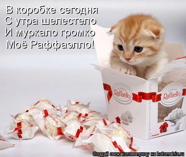 В коробке сегодня С утра шелестело И муркало громко Моё Раффаэлло!... Котоматрица: В коробке сегодня С утра шелестело И муркало громко Моё Раффаэлло!