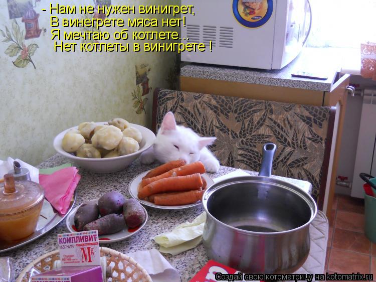 - Нам не нужен винигрет, В винегрете мяса нет! Я мечтаю об котлете... Нет котлеты в винигрете !... Котоматрица: - Нам не нужен винигрет, В винегрете мяса нет! Я мечтаю об котлете... Нет котлеты в винигрете !