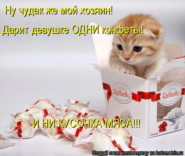 Ну чудак же мой хозяин! Дарит девушке ОДНИ конфеты! И НИ КУСОЧКА МЯСА!!!... Котоматрица: Ну чудак же мой хозяин! Дарит девушке ОДНИ конфеты! И НИ КУСОЧКА МЯСА!!!