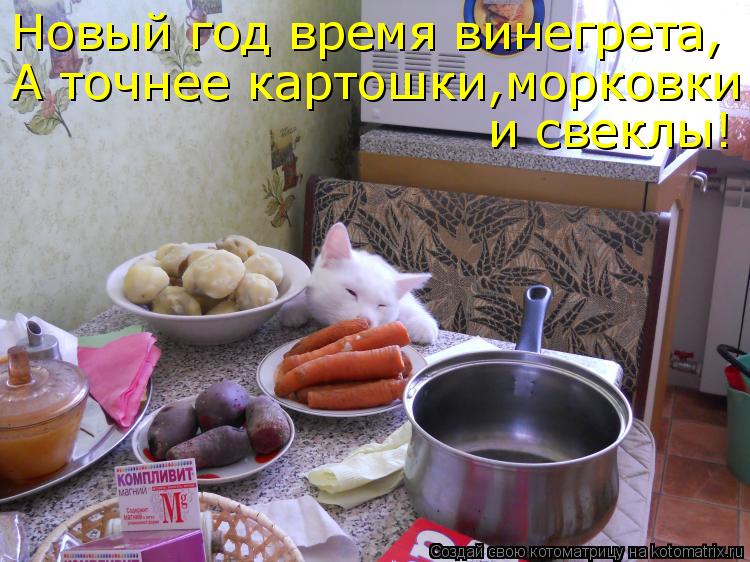 Новый год время винегрета, А точнее картошки,морковки и свеклы!... Котоматрица: Новый год время винегрета, А точнее картошки,морковки и свеклы!