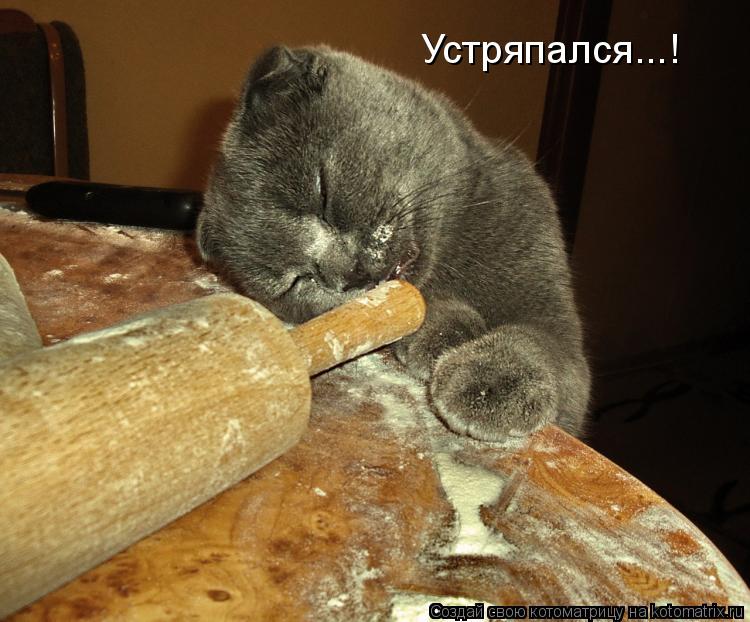 Устряпался...!... Котоматрица: Устряпался...!