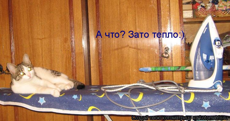 А что? Зато тепло:)... Котоматрица: А что? Зато тепло:)