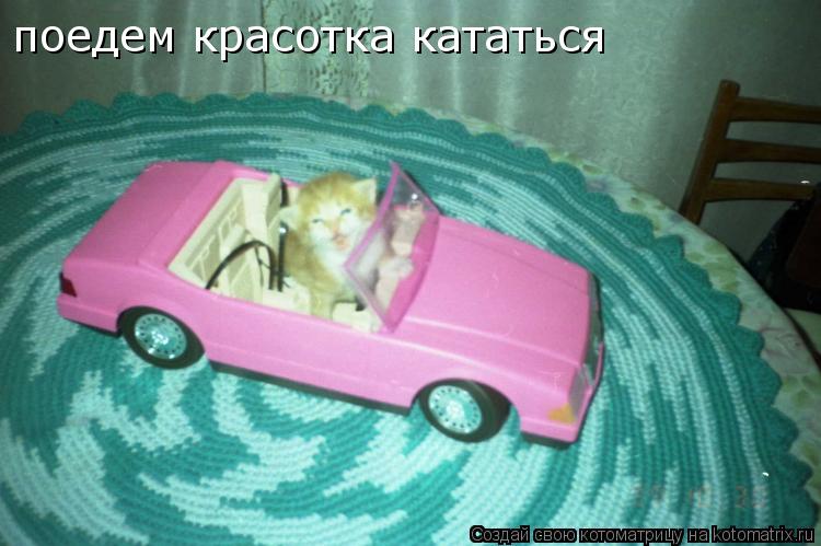 поедем красотка кататься... Котоматрица: поедем красотка кататься