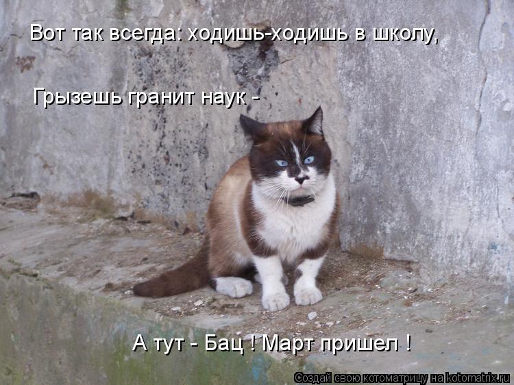 Вот так всегда: ходишь-ходишь в школу, Грызешь гранит наук - А тут - Бац ! Март пришел !... Котоматрица: Вот так всегда: ходишь-ходишь в школу, Грызешь гранит наук - А тут - Бац ! Март пришел !