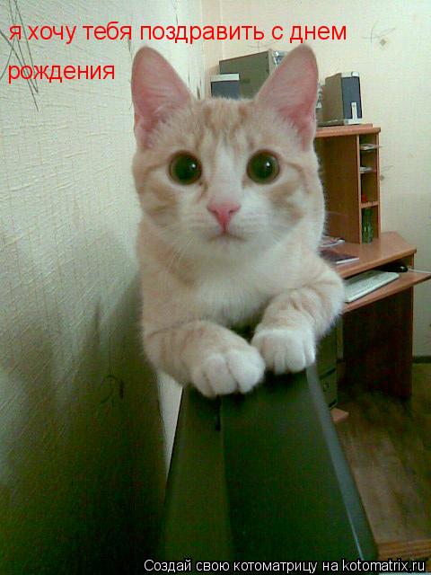 я хочу тебя поздравить с днем рождения... Котоматрица: я хочу тебя поздравить с днем рождения