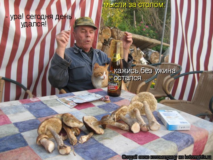 мысли за столом: - ура! сегодня день удался! - кажись,без ужина остался...... Котоматрица: мысли за столом: - ура! сегодня день удался! - кажись,без ужина остался...