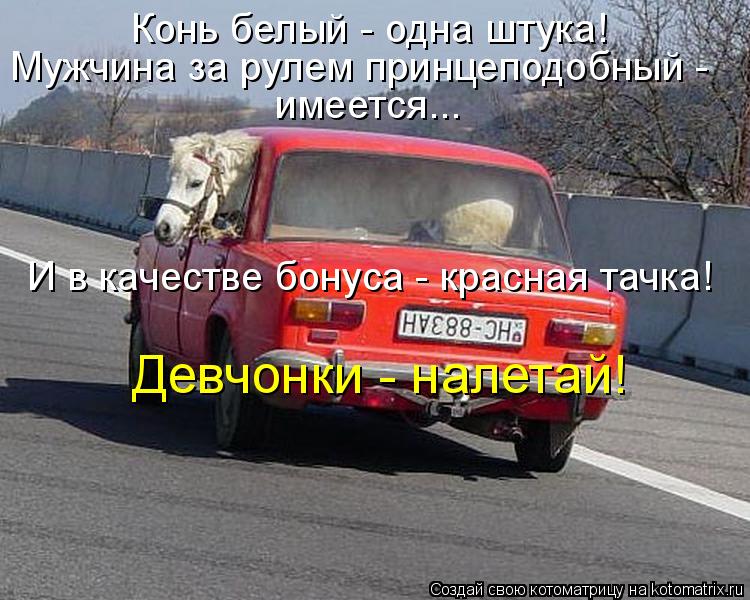 Конь белый - одна штука! Мужчина за рулем принцеподобный - имеется... И в качестве бонуса - красная ... Котоматрица: Конь белый - одна штука! Мужчина за рулем принцеподобный - имеется... И в качестве бонуса - красная тачка! Девчонки - налетай!