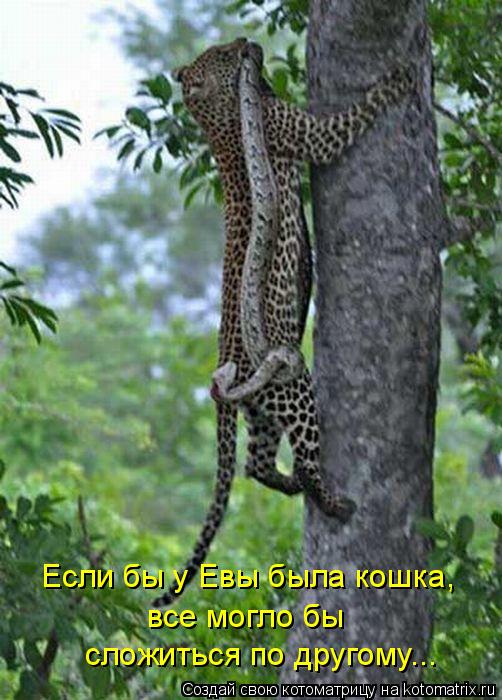 Если бы у Евы была кошка, все могло бы сложиться по другому...... Котоматрица: Если бы у Евы была кошка, все могло бы сложиться по другому...