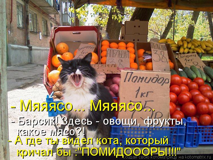 - Мяяясо... Мяяясо... - Барсик! Здесь - овощи, фрукты, какое мясо?! - А где ты видел кота, который к... Котоматрица: - Мяяясо... Мяяясо... - Барсик! Здесь - овощи, фрукты, какое мясо?! - А где ты видел кота, который кричал бы :"ПОМИДОООРЫ!!!"