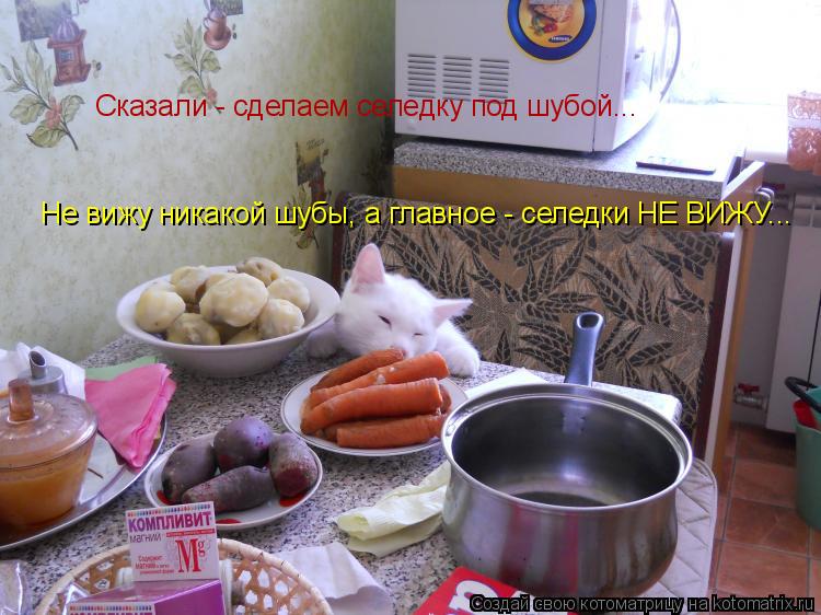 Сказали - сделаем селедку под шубой... Не вижу никакой шубы, а главное - селедки НЕ ВИЖУ...... Котоматрица: Сказали - сделаем селедку под шубой... Не вижу никакой шубы, а главное - селедки НЕ ВИЖУ...